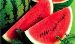 各种吃瓜网红精品小说,网红小说中的美食与爱情盛宴